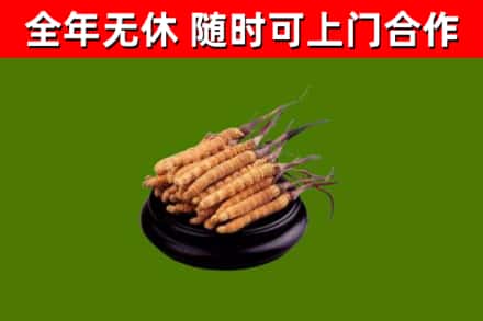 白沙烟酒回收冬虫夏草.jpg